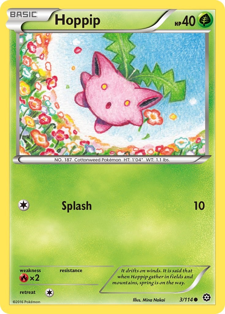 Hoppip [STS - 3/114]