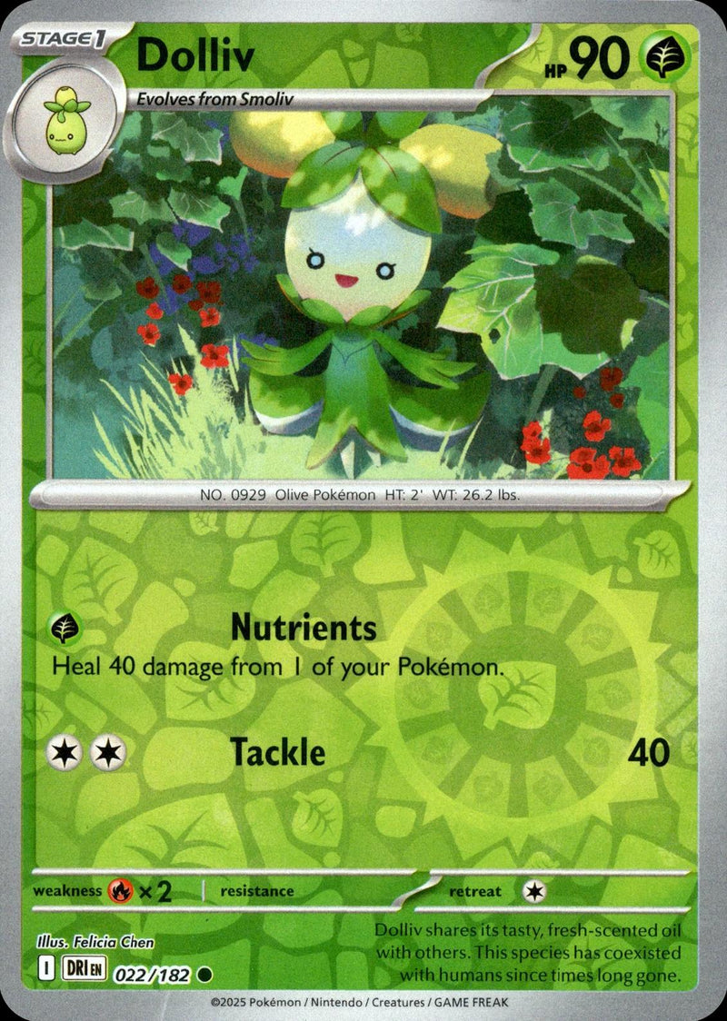 Dolliv [DRI - 022/182]