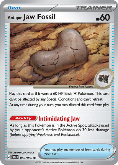 Antique Jaw Fossil [POR - 068/088]