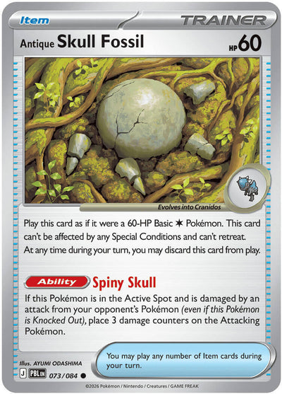 Antique Skull Fossil [PBL - 073/084]