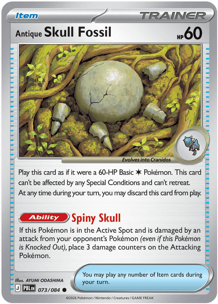 Antique Skull Fossil [PBL - 073/084]