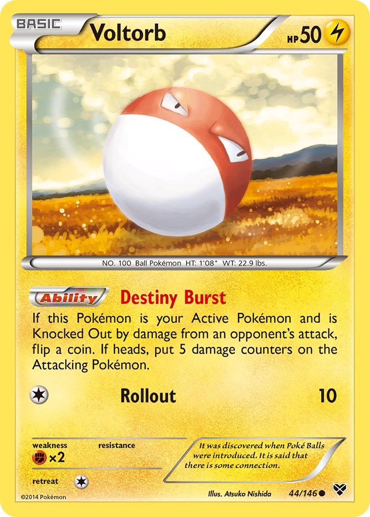 Voltorb [XY - 44/146]
