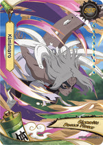 Card Image 1