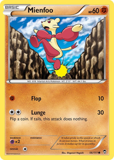 Mienfoo [FFI - 56/111]