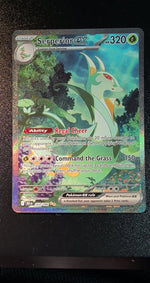 Card Image 2
