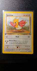 Card Image 2