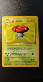 Card Image 2