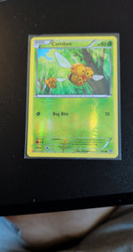 Card Image 2