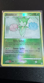 Card Image 2