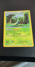 Card Image 2