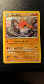 Card Image 2
