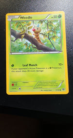 Card Image 3