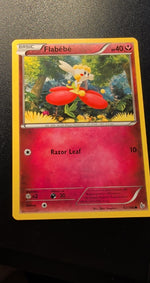 Card Image 2