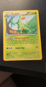 Card Image 2