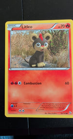 Card Image 2