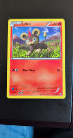 Card Image 2