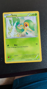 Card Image 2