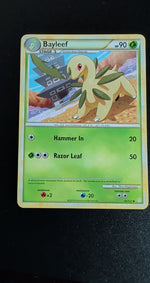Card Image 2