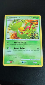Card Image 2