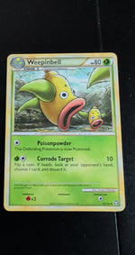 Card Image 2