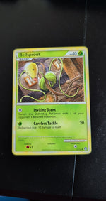 Card Image 2