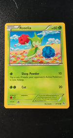 Card Image 2
