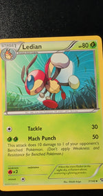 Card Image 2