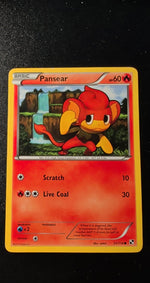Card Image 2