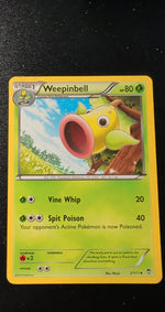 Card Image 2