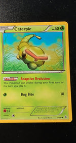 Card Image 4