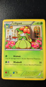 Card Image 2