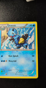 Card Image 3