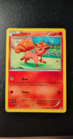 Card Image 2