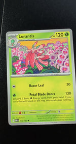 Card Image 2