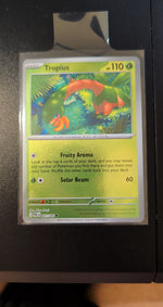 Card Image 3
