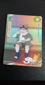 Card Image 2