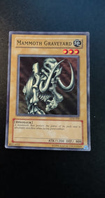 Card Image 2