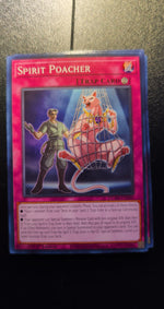 Card Image 2