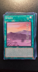 Card Image 2