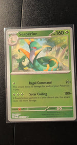 Card Image 3