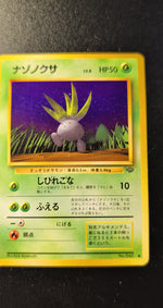 Card Image 2