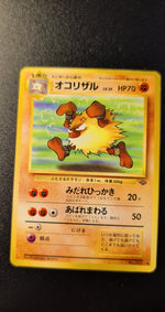 Card Image 2
