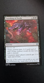 Card Image 2